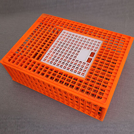 صناديق نقل الدواجن البالغة – مزايا التصنيع، التطبيقات، ورؤى أساسية