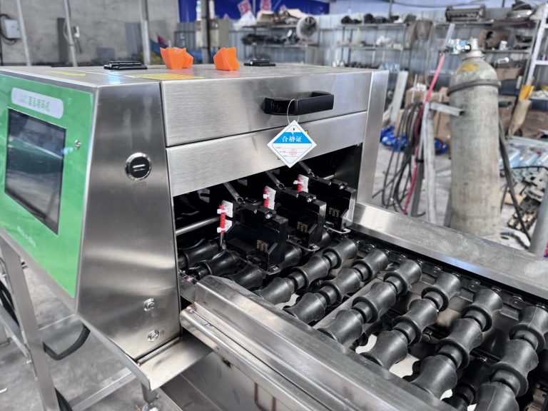 تحليل متعمق لمرحلة التعقيم والوسم في خط معالجة البيض