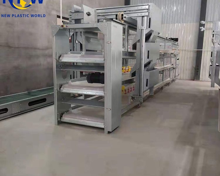 صيانة وتنظيف أقفاص الدجاج: نصائح أساسية لتعظيم العمر الافتراضي