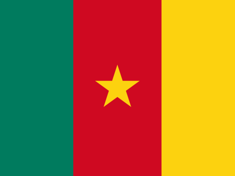 Informe de Análisis sobre Oportunidades de Mercado para la Industria Ganadera y de Sacrificio en Camerún, África