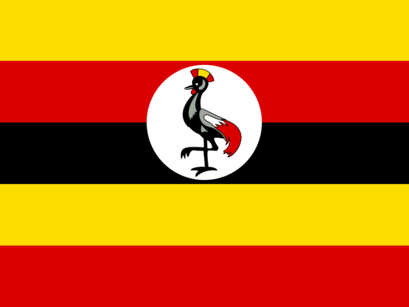 **Informe de Análisis sobre Oportunidades de Mercado para la Industria Ganadera y de Sacrificio en Uganda, África**