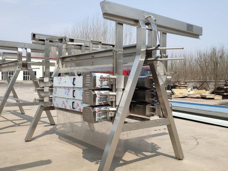 Equipo clave de extracción de vísceras en aves: Máquina de evisceración vertical