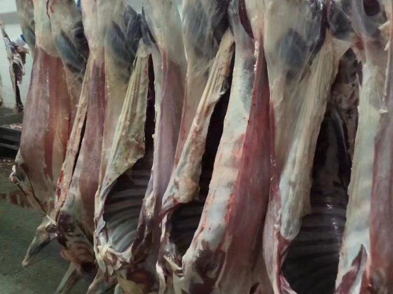 Componentes Clave y Flujo de Proceso de una Línea de Sacrificio de Cabras Completa