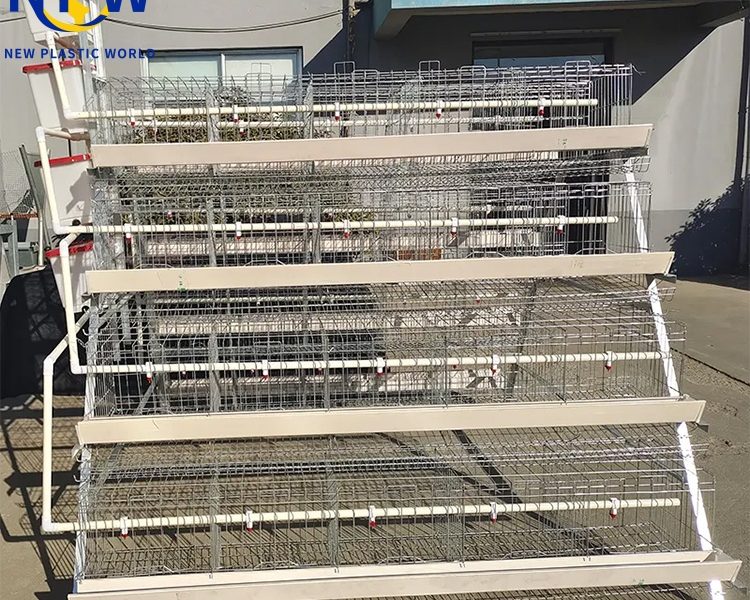 **Jaulas de 3 Niveles vs. 4 Niveles para Gallinas Ponedoras: ¿Cuál es Mejor para su Granja?**