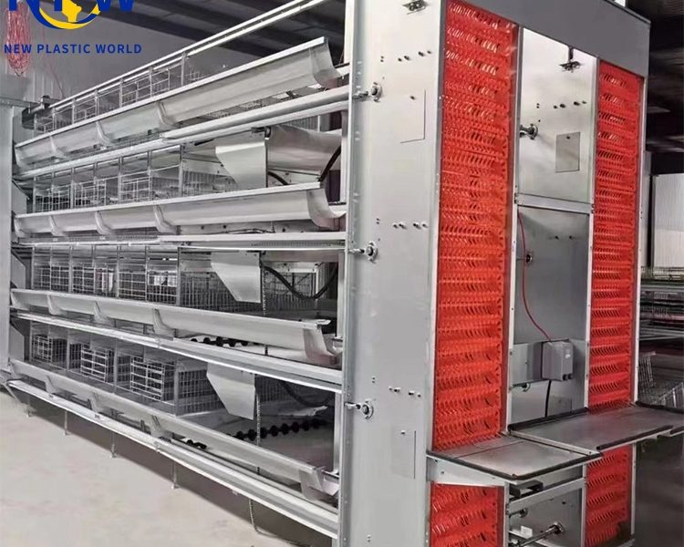 **Avicultura de Gallinas Ponedoras en Filipinas: Una Inversión Inteligente Respaldada por las Innovaciones de Qingdao NPW Plastic**