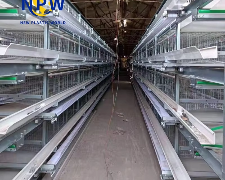 **Cómo Elegir la Jaula Adecuada para Gallinas: Una Guía Integral para Avicultores**