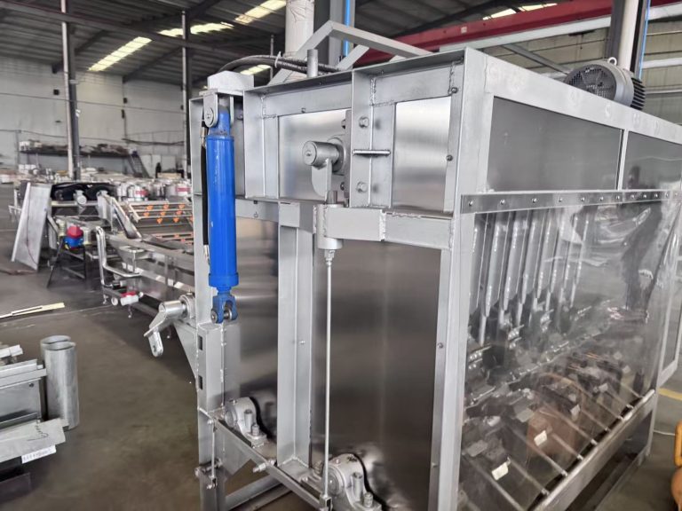 Máquina de depilación de cerdos de alta eficiencia: escalable de 60 a 600 cabezas por hora