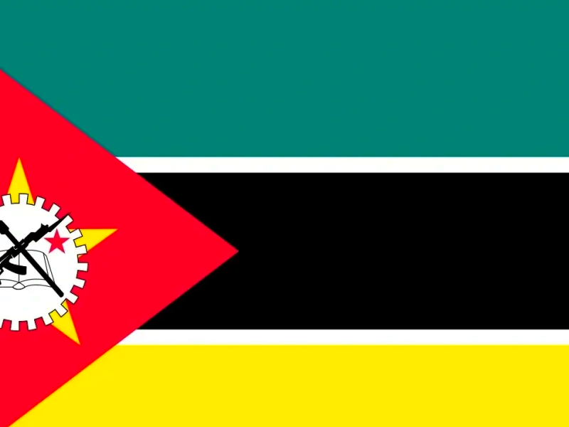 **Rapport d'analyse sur les opportunités de marché pour l'industrie de l'élevage et de l'abattage au Mozambique, Afrique**