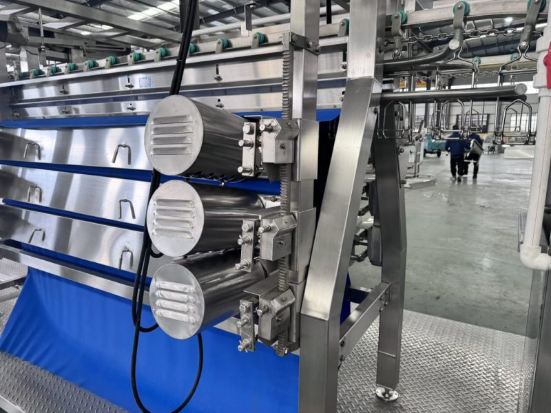 **Techniques d'utilisation et entretien de la plumageuse pour les lignes d'abattage compactes**