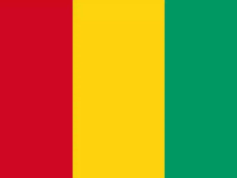 **Rapport d'analyse de marché sur les industries de l'élevage et de l'abattage en Guinée, Afrique**