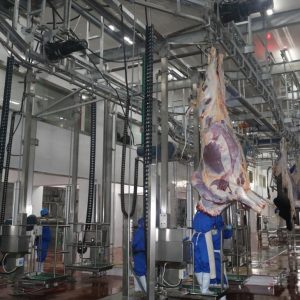 Гидравлическая машина для снятия шкур с крупного рогатого скота