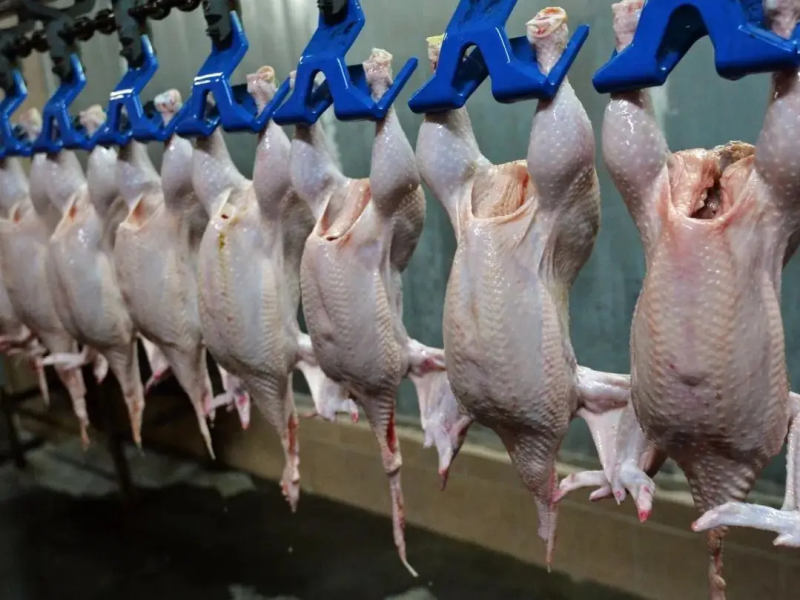 Потрошение и мойка: Основной барьер для безопасности пищевых продуктов