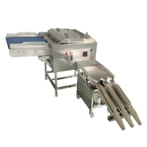 Автоматическая 6-рядная система для разбивания и разделения яиц