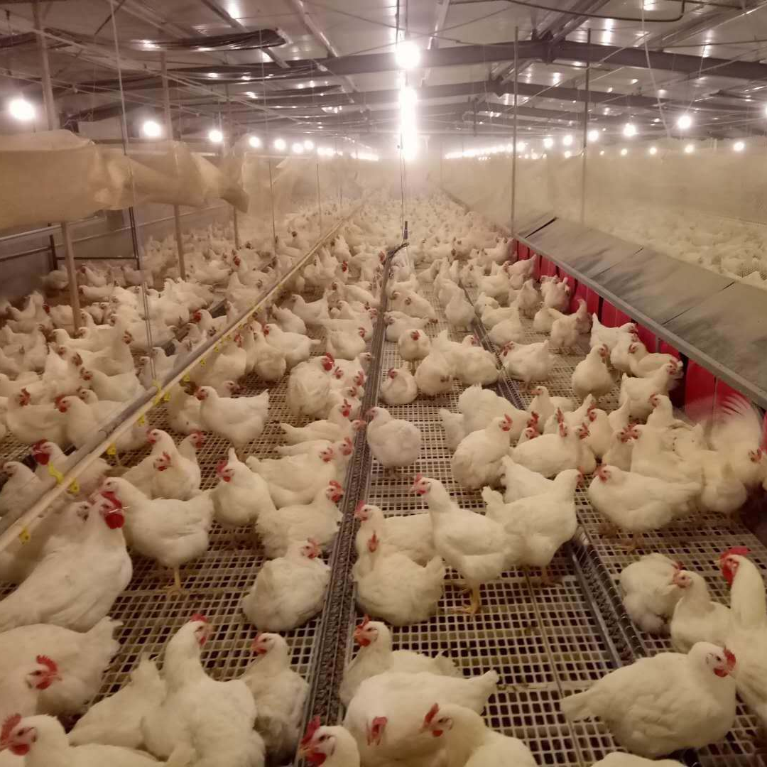 Customer Application Site