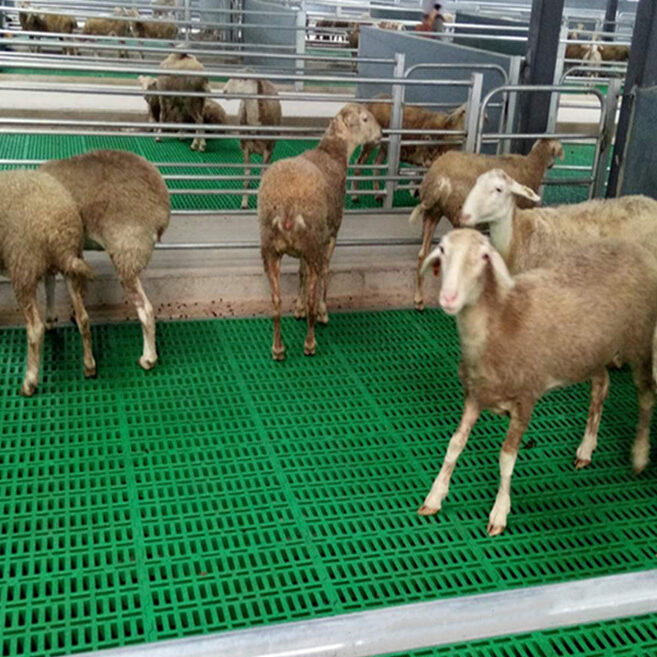 Customer Application Site