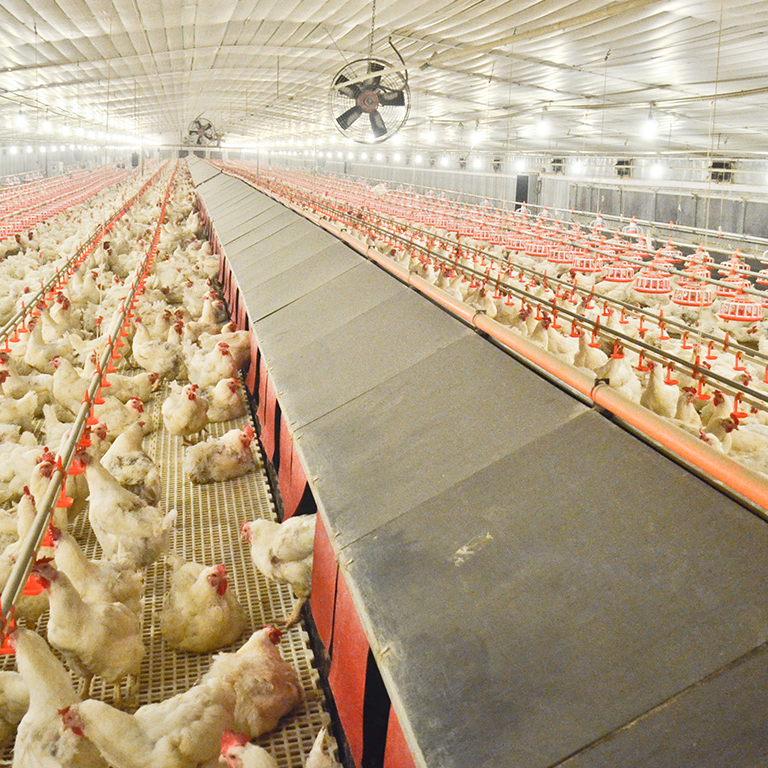 Customer Application Site