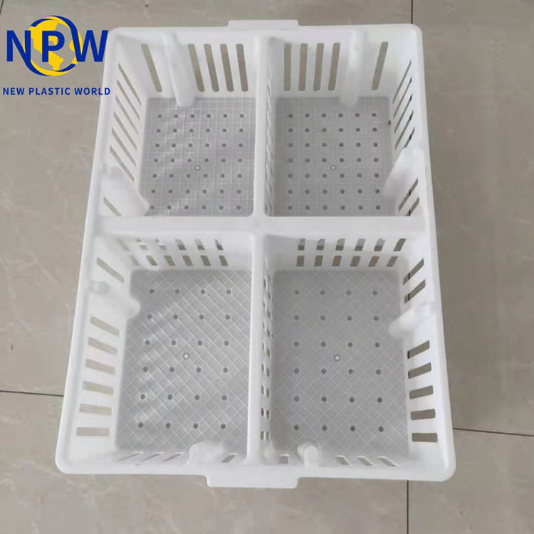 chicks Farm Use Plastic Crate
