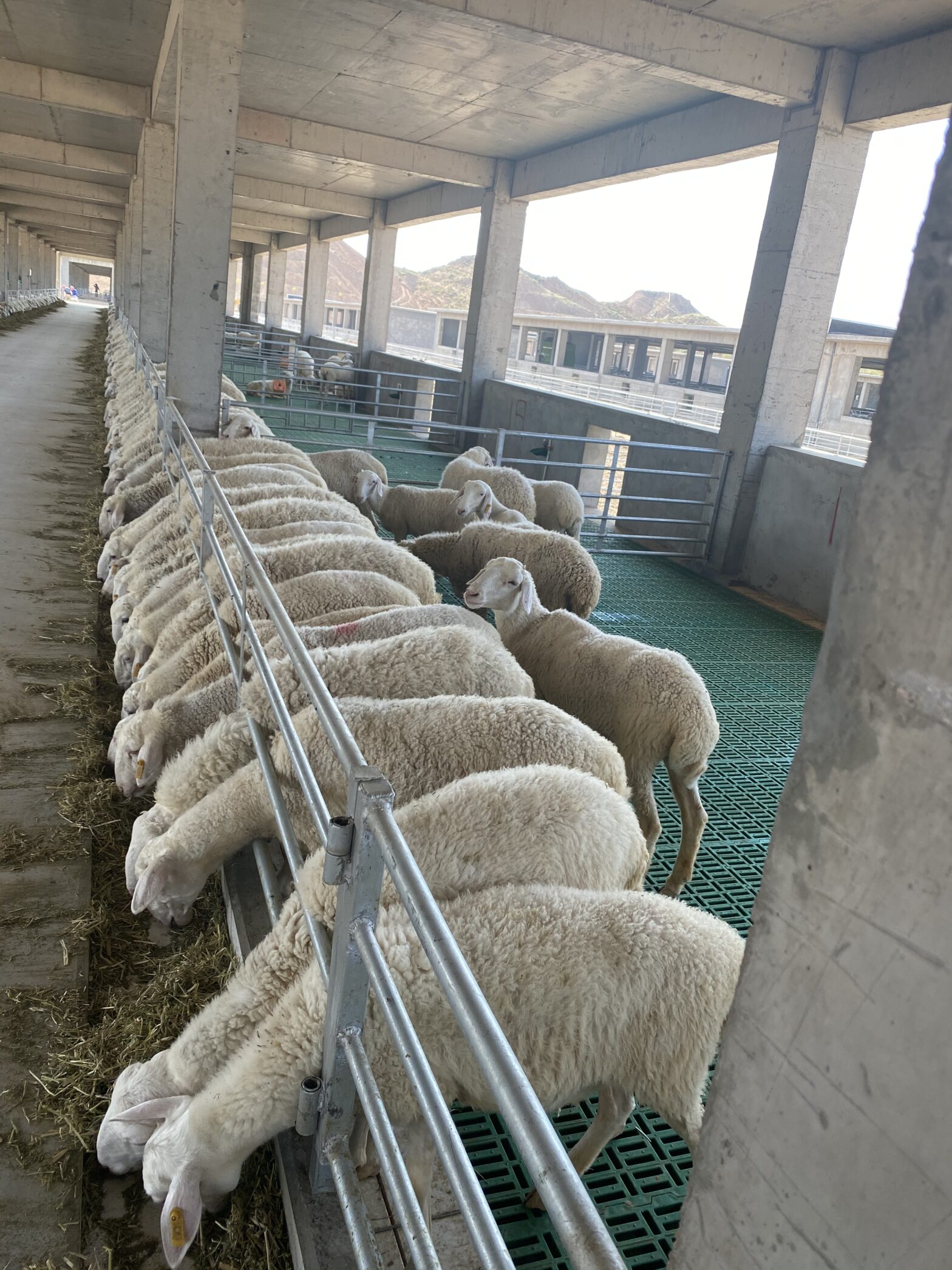 Customer Application Site