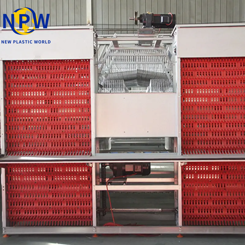 Case Study: 3-Layer Automatic A-Type Egg-Laying Chicken Cage in Batangas, Philippines