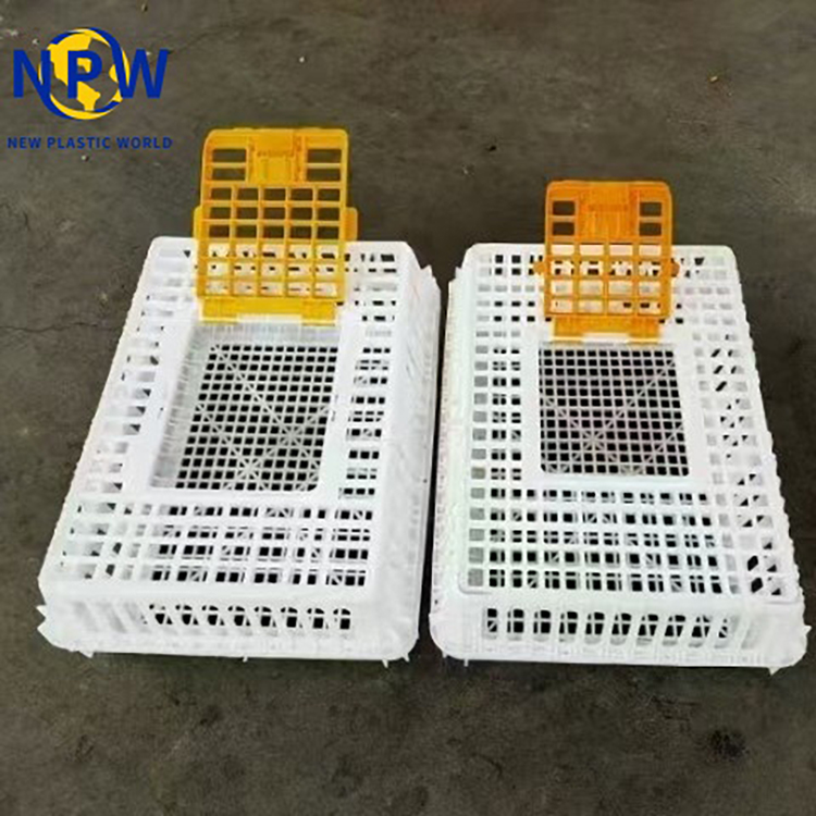 Stackable & Foldable Transport Crate for Chickens