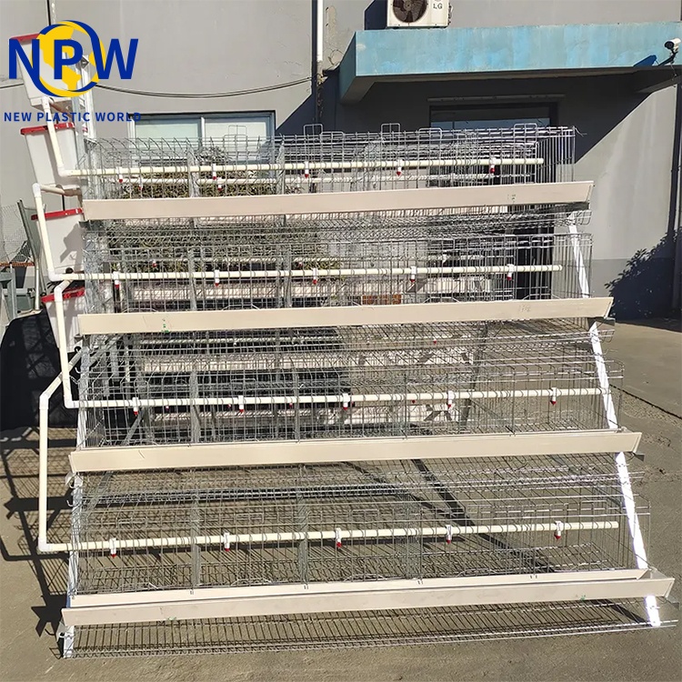 3-Tier vs. 4-Tier Layer Cages: Which Is Better for Your Farm?