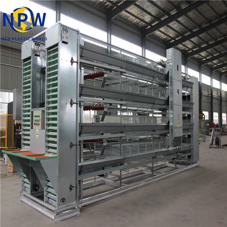 H Type Automatic Egg Layer Chicken Farm