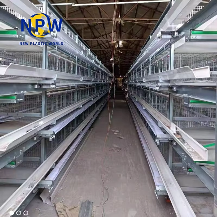 Choosing the Right Chicken Cage: A Comprehensive Guide for Poultry Farmers