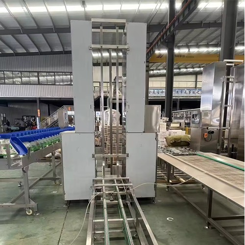 Hydraulic Lifting Cage System