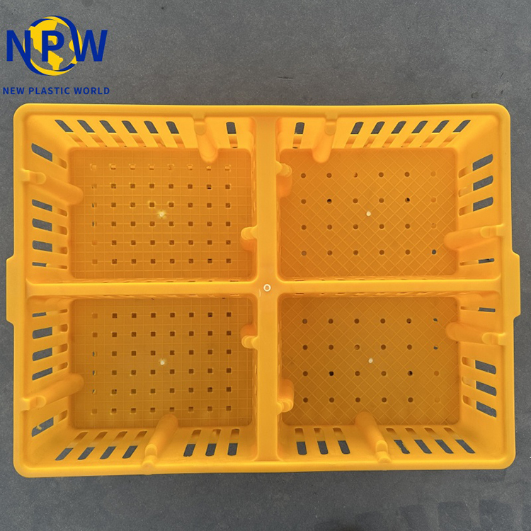 Chick Transport Crate - npw