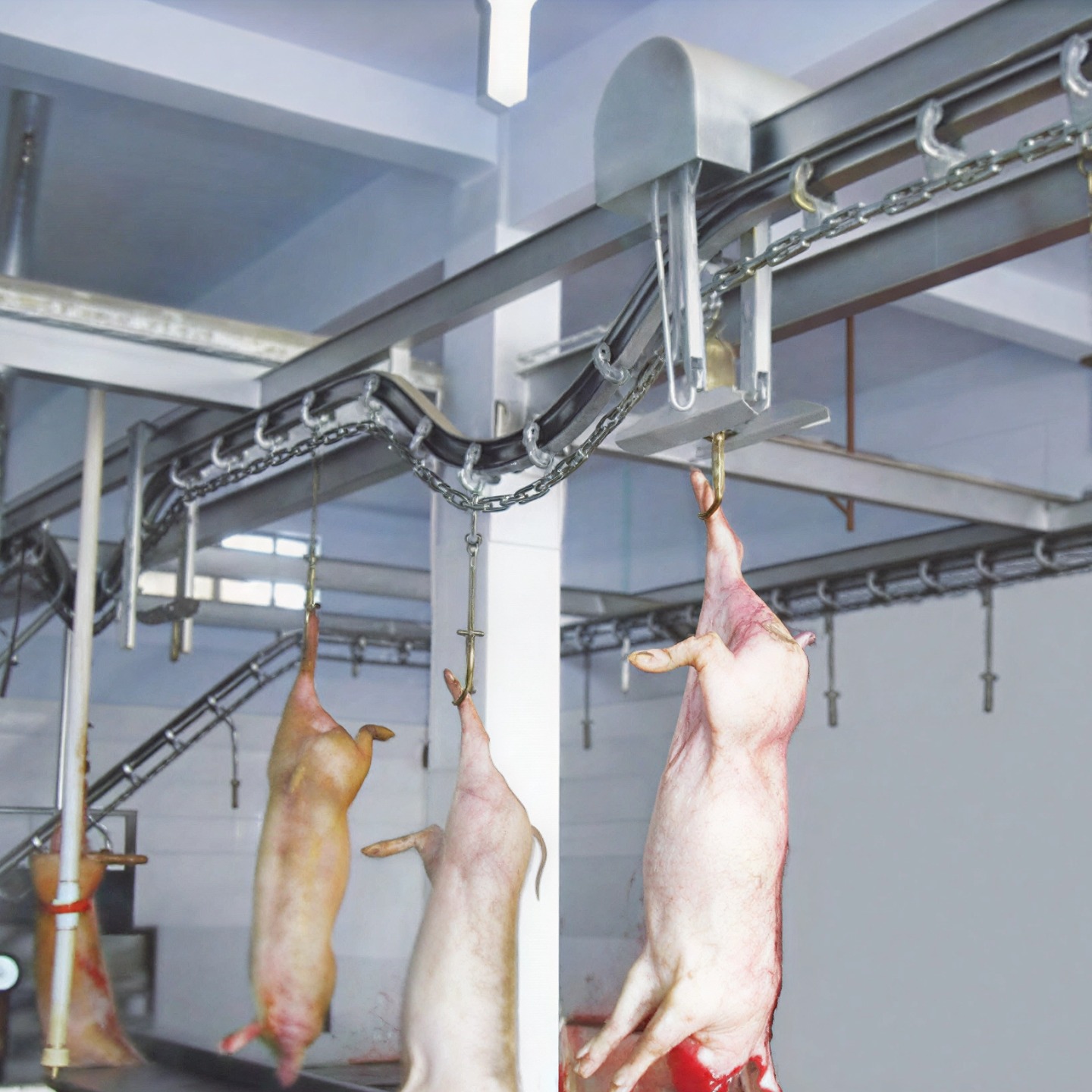 Bleeding Line Wire Rope Automatic Pig Bleeding Line - npw