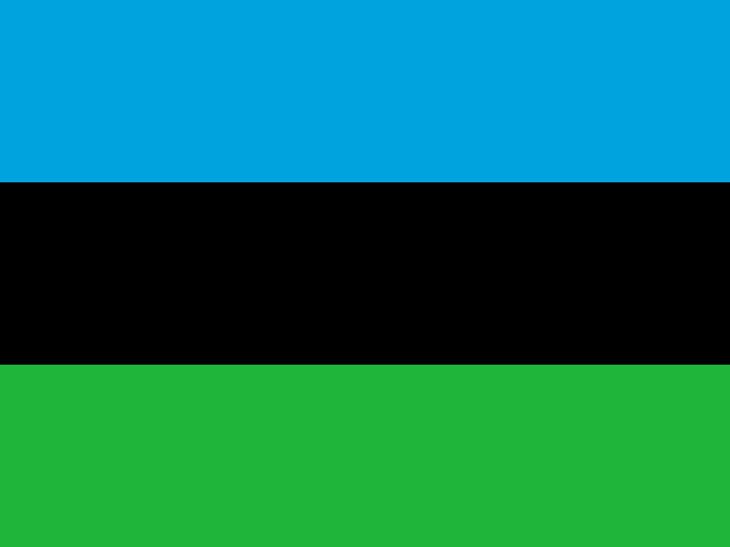 Tanzanian flag