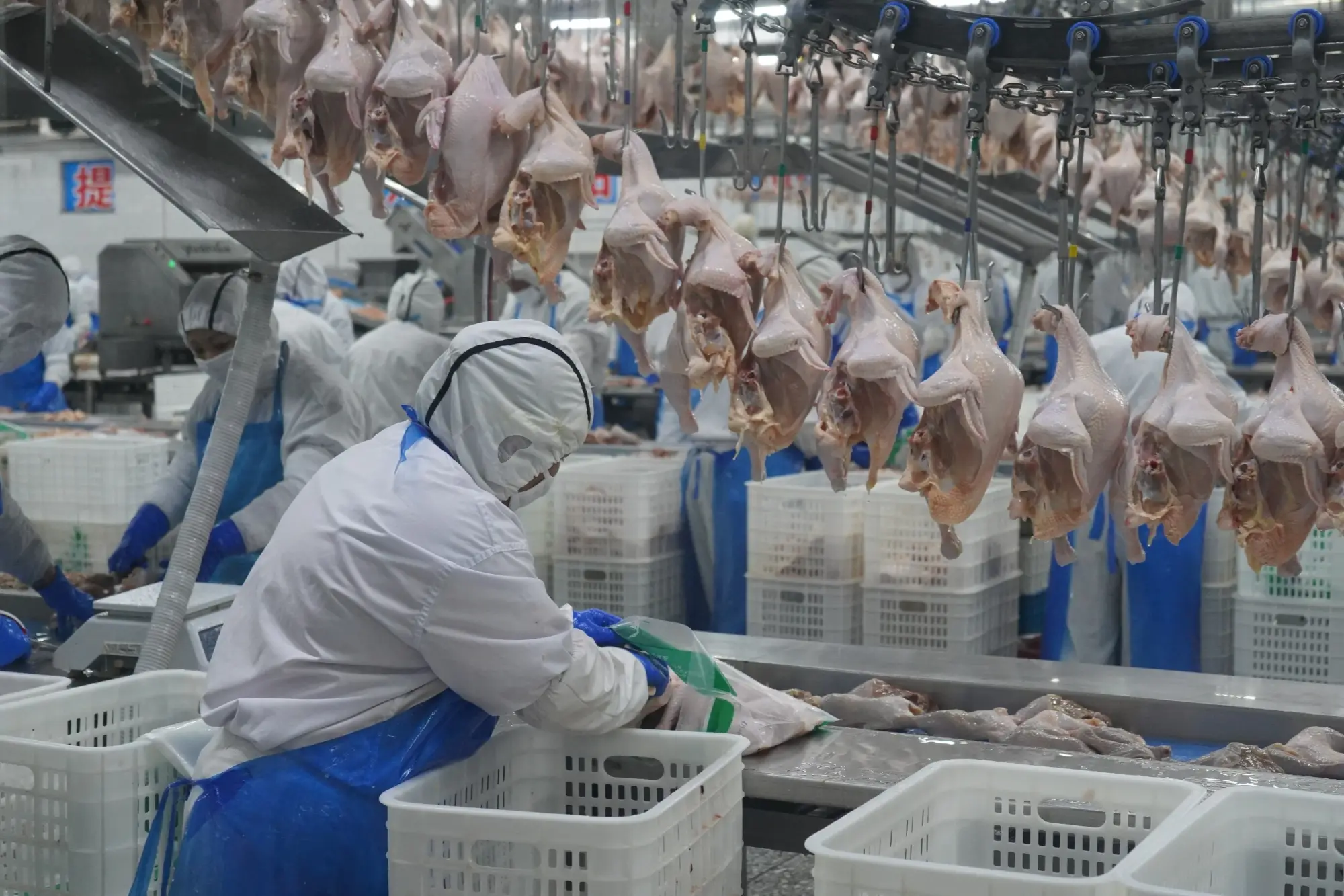 Slaughterhouse Project Application