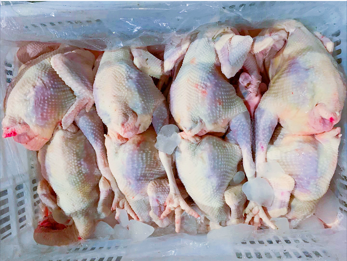 PHASE 4: FINAL PROCESSING