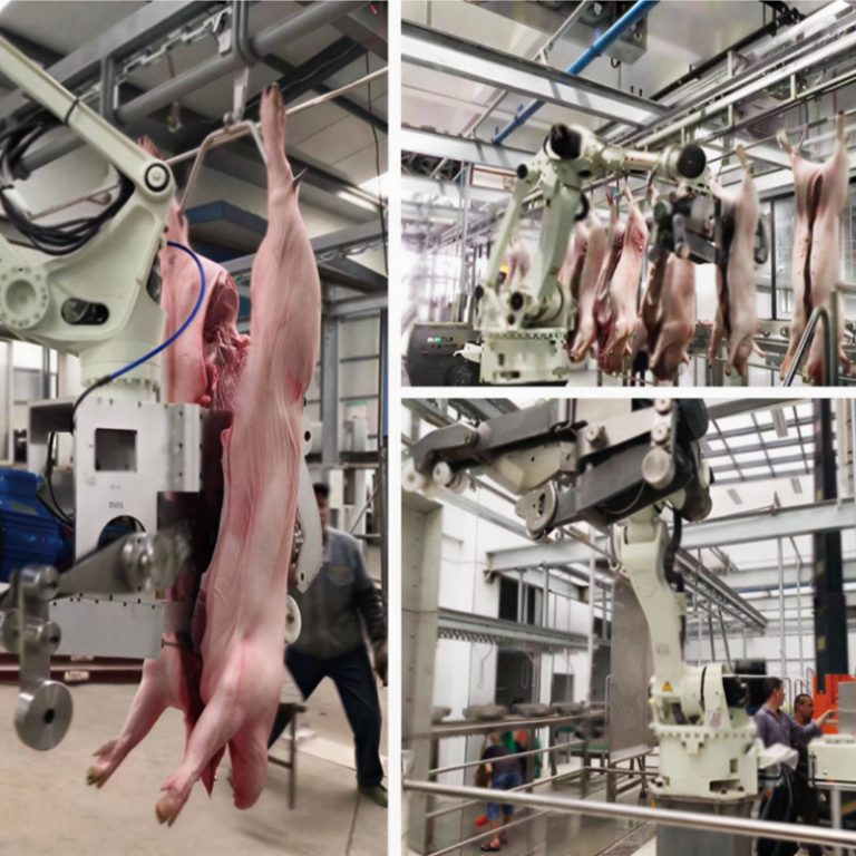 Robotic automatic pig carcass splitting machine with touchscreen control on a commercial pork slaughter line