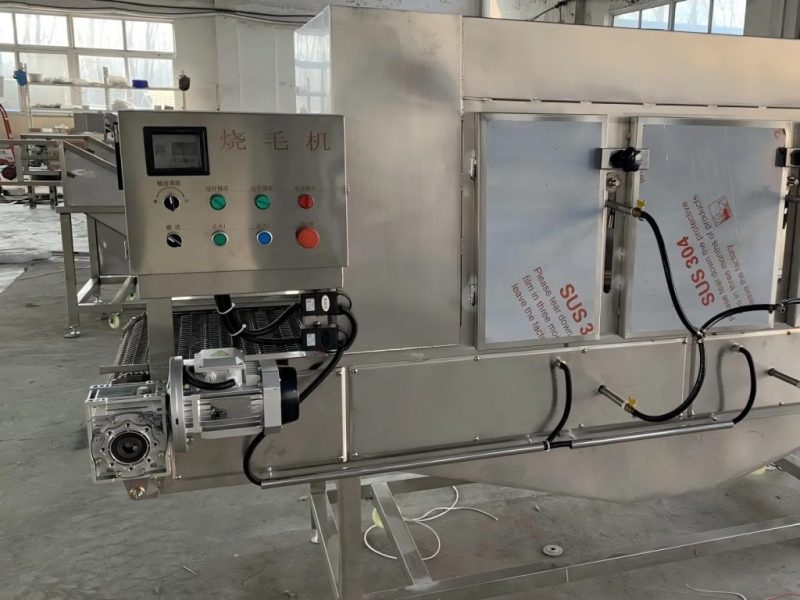 Pig Trotter Singeing Machine – Complete Singeing & Cleaning Line for White & Bright Trotters