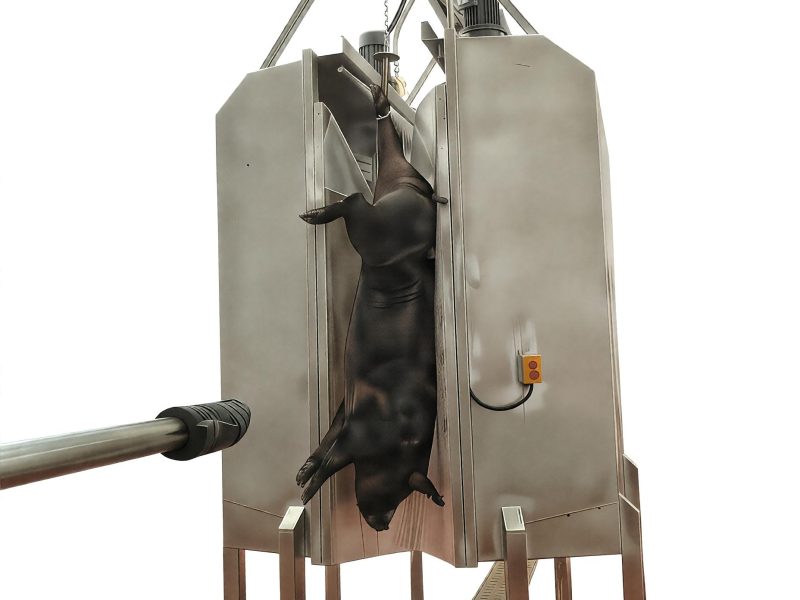 Post-Dehairing Carcass Cleaner