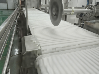 Integrated Conveyor with Circular Saw for Meat Portioning