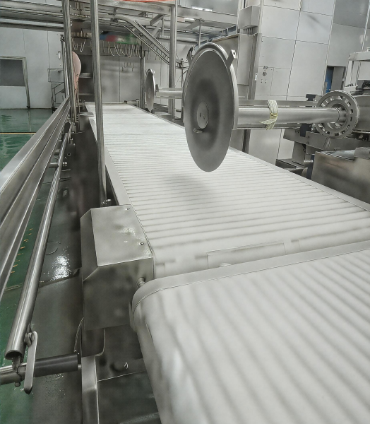 Integrated Conveyor with Circular Saw for Meat Portioning