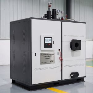 Multi-Fuel Universal Steam Generator (GH-1-0-0-8-YQ)