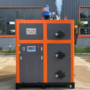 Biomass Steam Generator (100 kg/h)