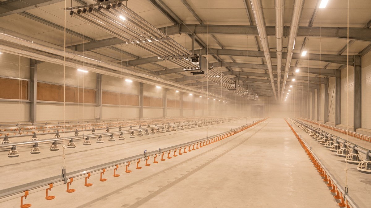 Poultry & Livestock Farms