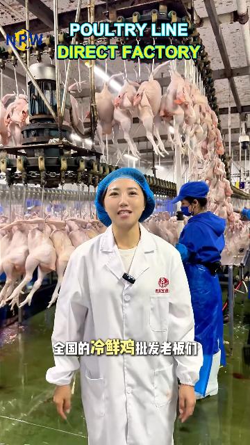 INSIDE A MODERN BROILER CHICKEN SLAUGHTER LINE: NPW INTEGRATED PROCESSING SHOWCASE
