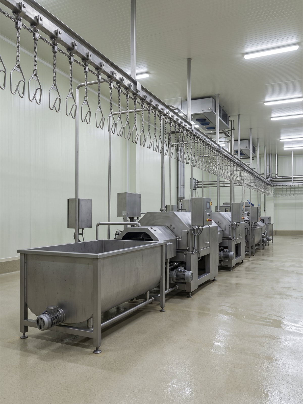 Row of stainless steel poultry scalding tank and plucking machines under an overhead shackle conveyor rail in a completed plant hall